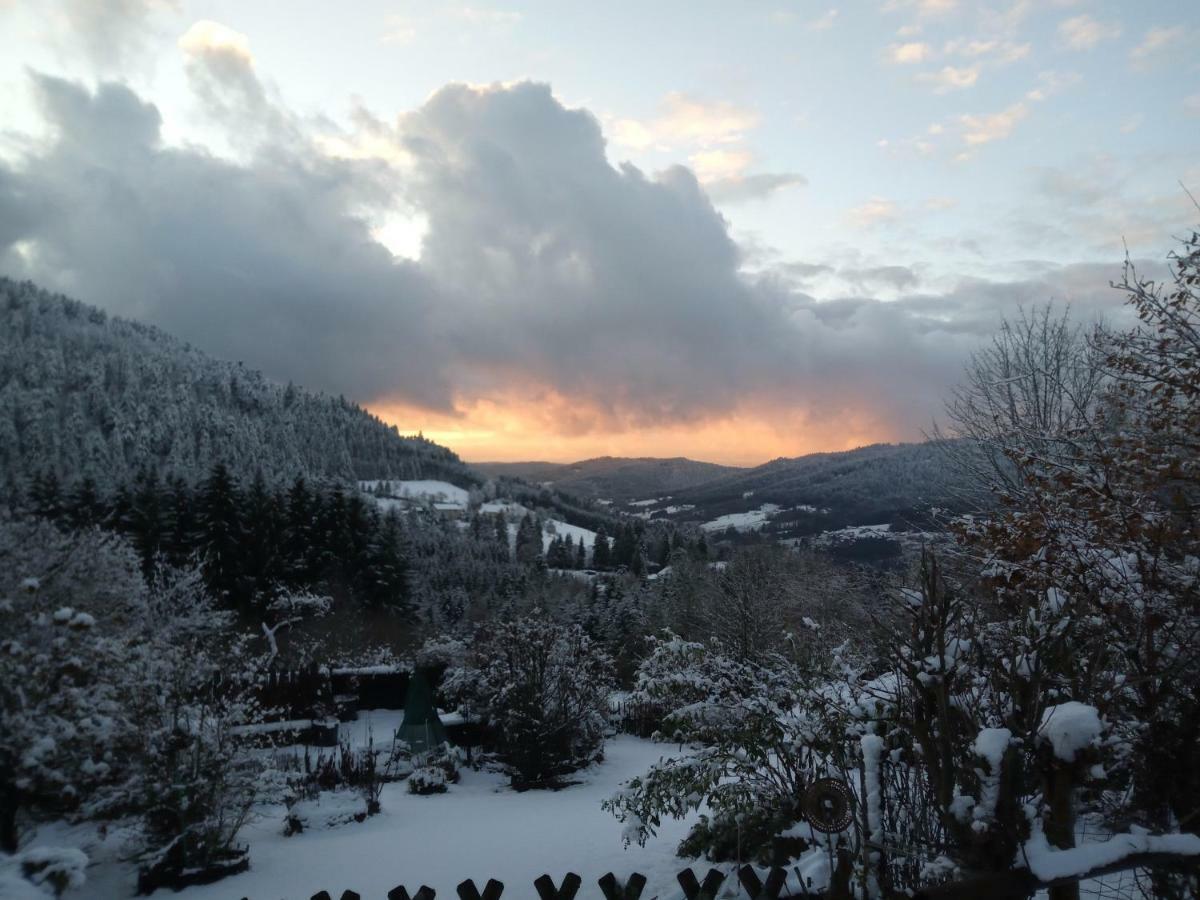 Gite Du Poirier Le Tholy Esterno foto